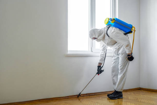 Professional Pest Control in Monrovia, MD